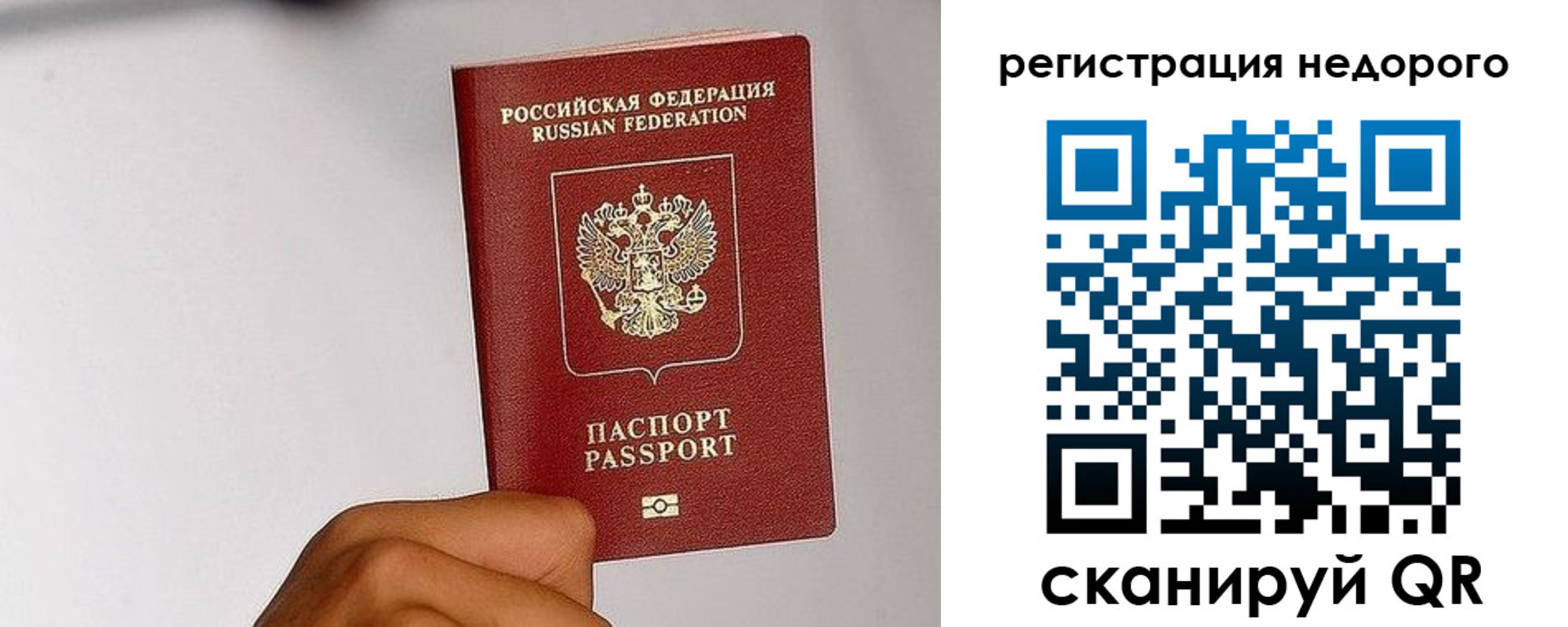 прописка 2025 в Ельне